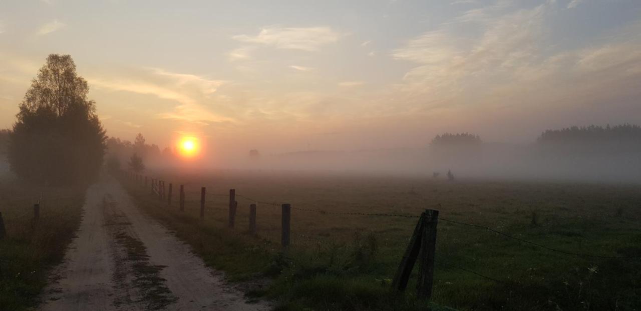 Zdalnie Z Lasu - Siedlisko W Puszczy Bialowieskiej Narewka Buitenkant foto