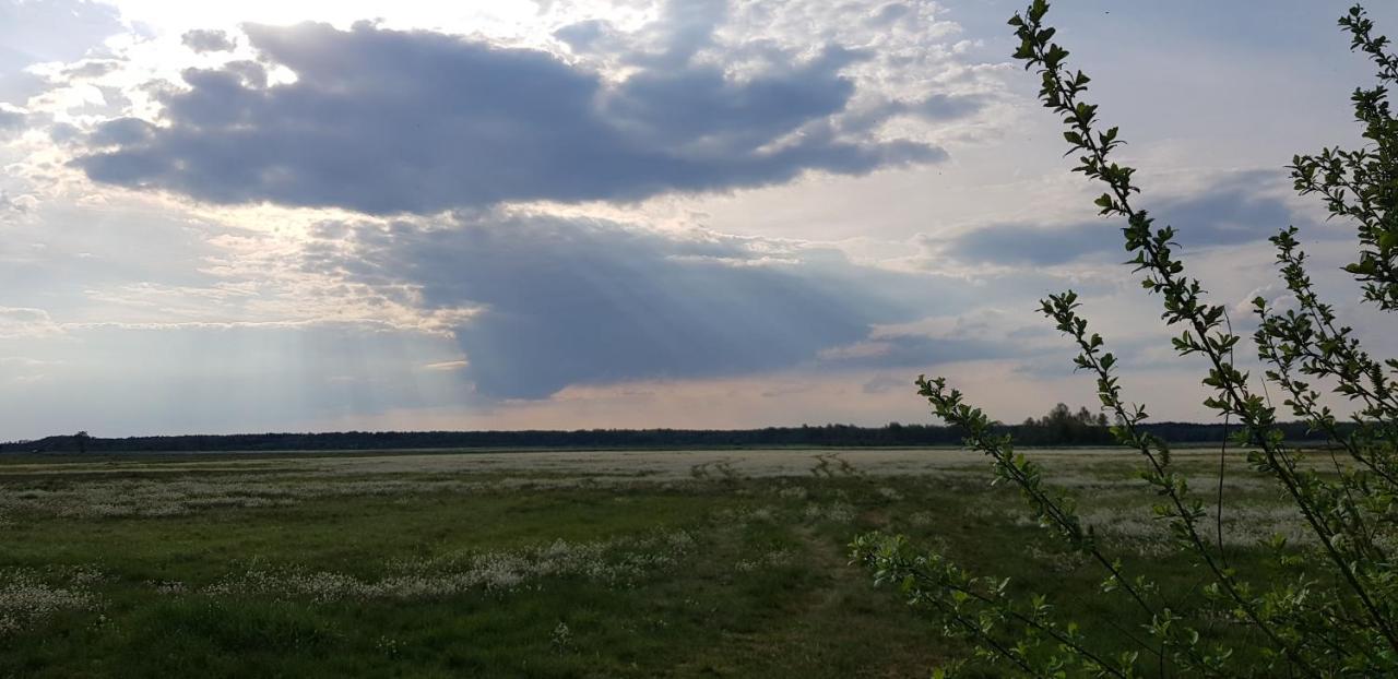 Zdalnie Z Lasu - Siedlisko W Puszczy Bialowieskiej Narewka Buitenkant foto