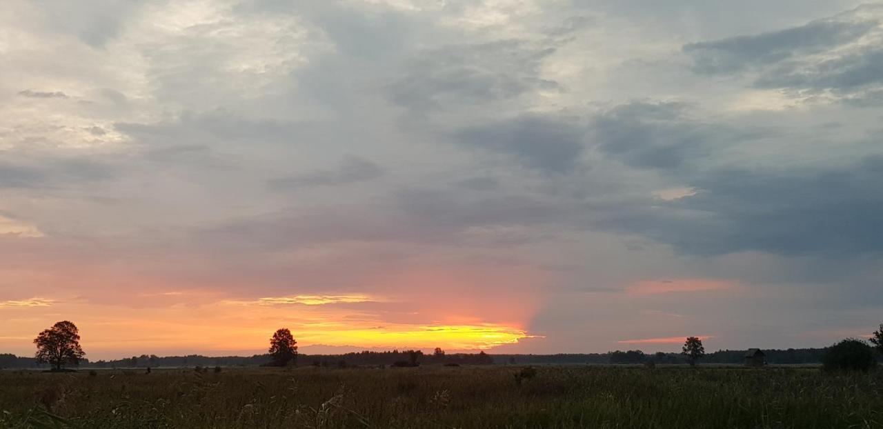Zdalnie Z Lasu - Siedlisko W Puszczy Bialowieskiej Narewka Buitenkant foto