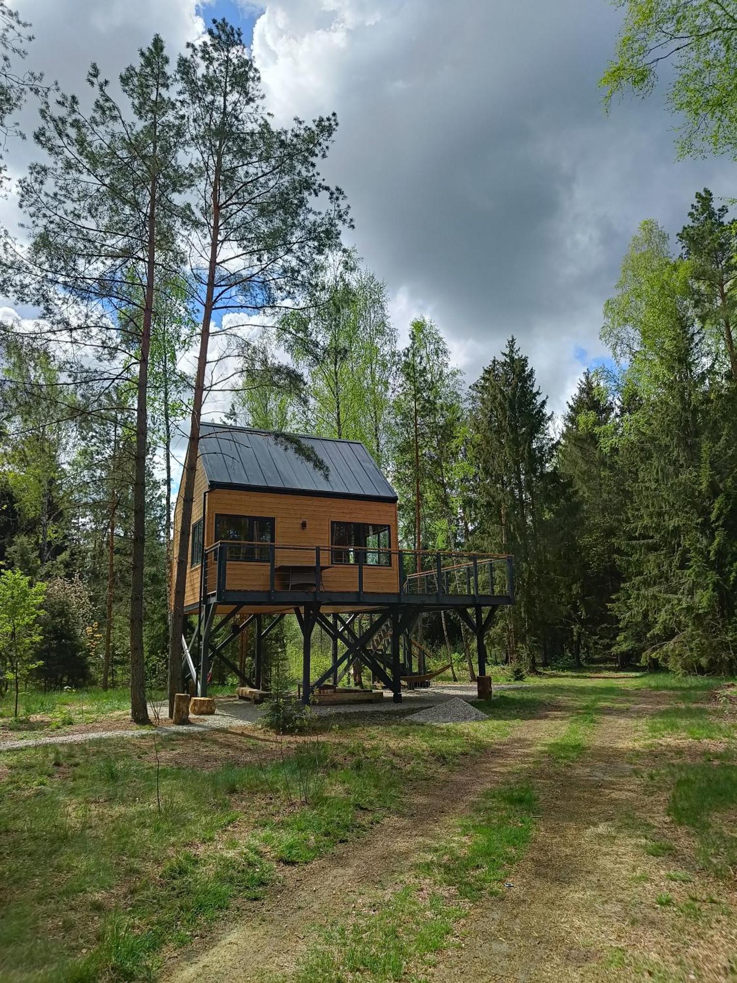 Zdalnie Z Lasu - Siedlisko W Puszczy Bialowieskiej Narewka Buitenkant foto