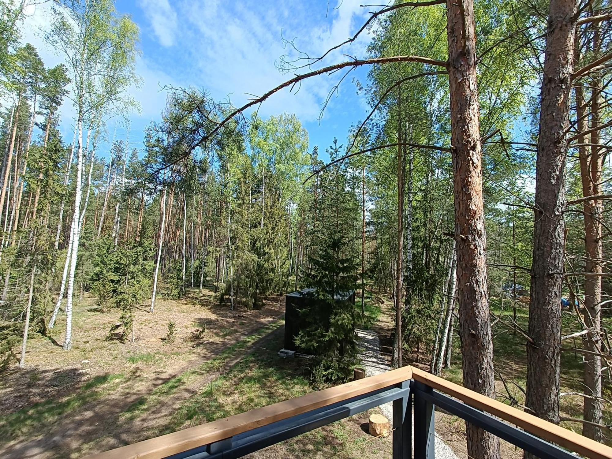 Zdalnie Z Lasu - Siedlisko W Puszczy Bialowieskiej Narewka Buitenkant foto