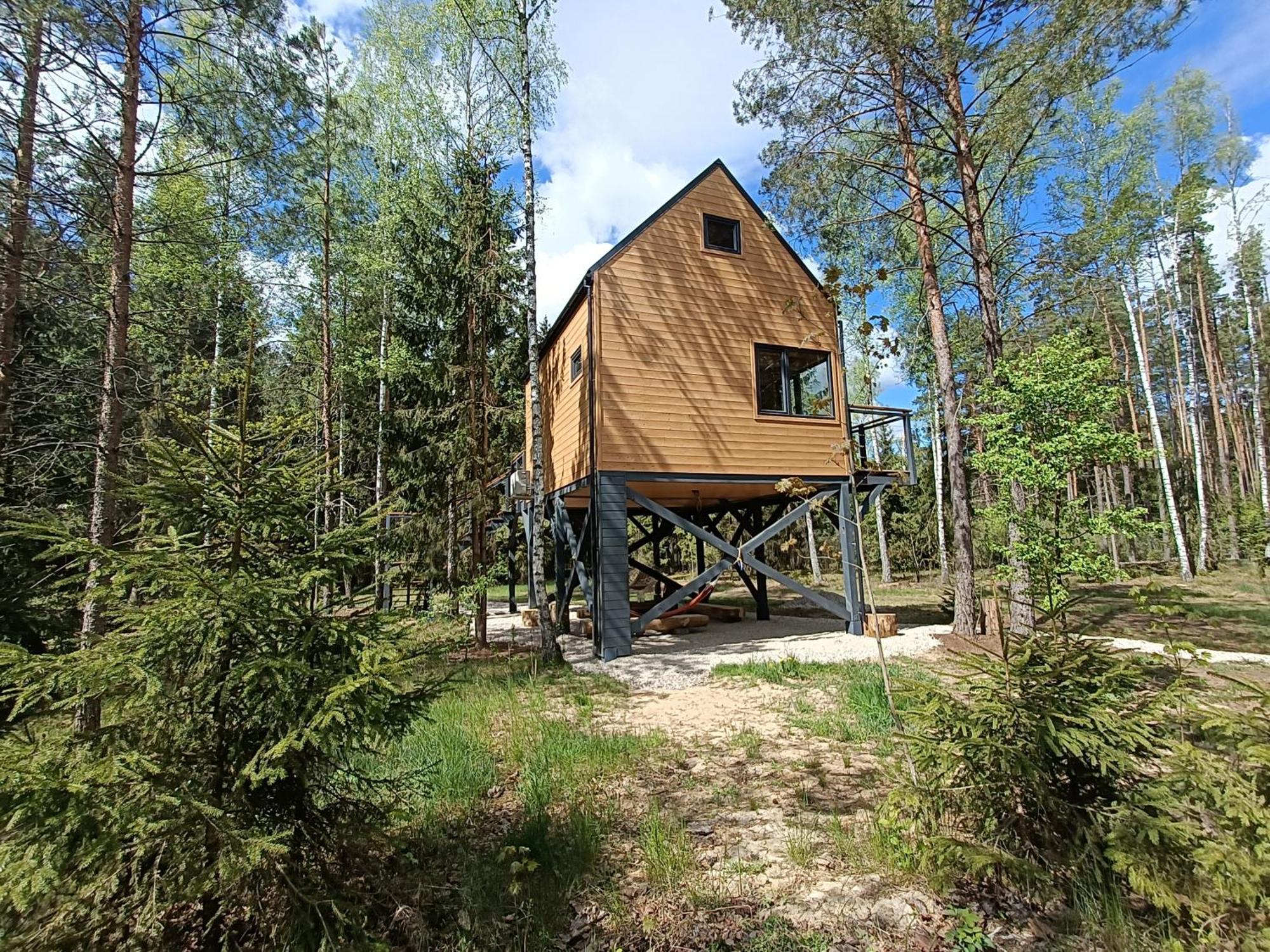 Zdalnie Z Lasu - Siedlisko W Puszczy Bialowieskiej Narewka Buitenkant foto