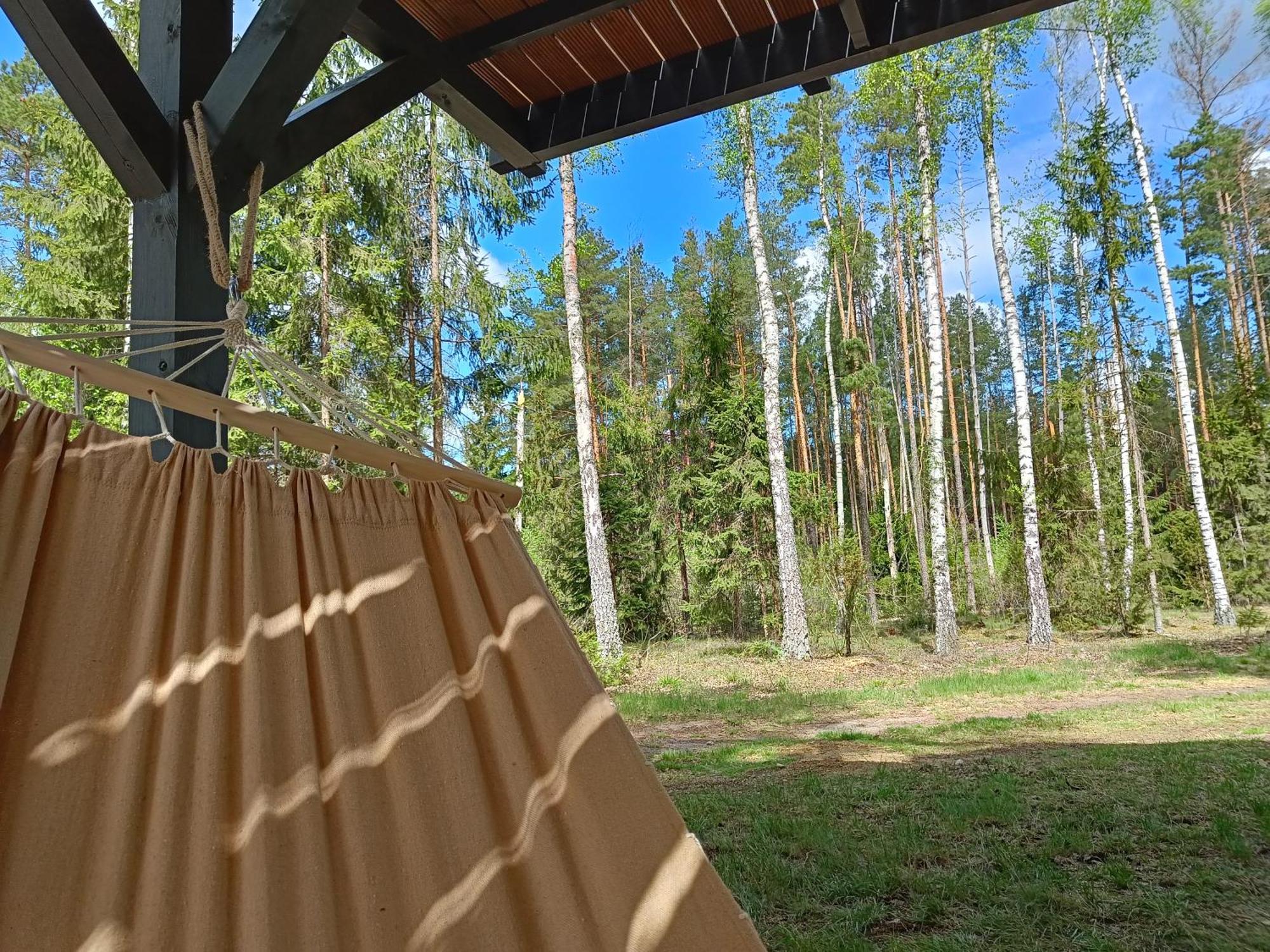 Zdalnie Z Lasu - Siedlisko W Puszczy Bialowieskiej Narewka Buitenkant foto